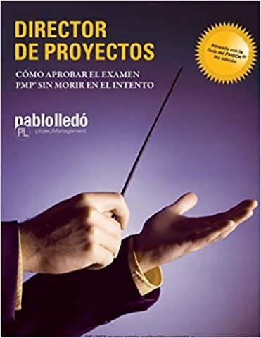 director de proyectos