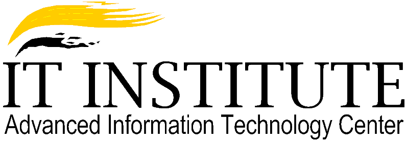 IT Institute
